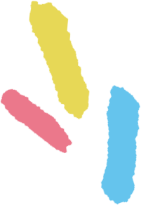 Yam